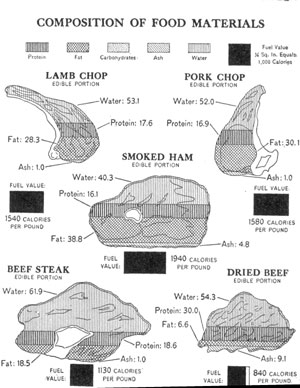 [Illustration: Composition of food materials]